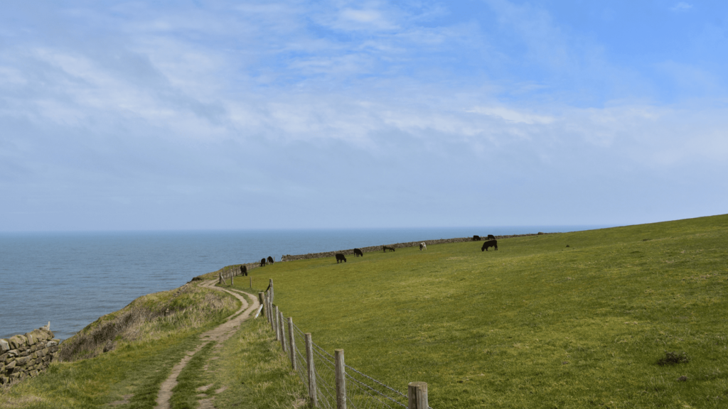 great yarmouth norfolk coast walk