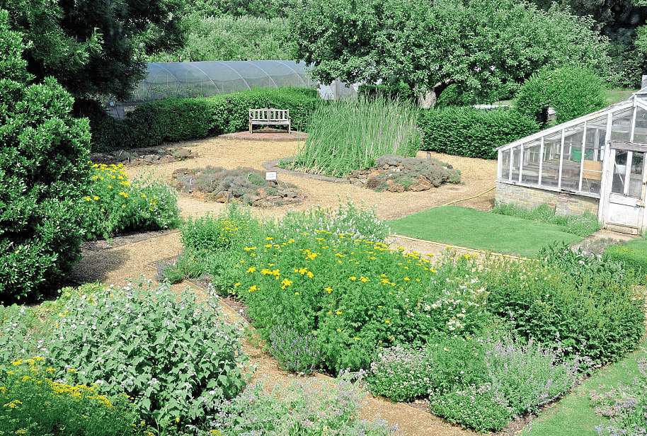 congham hall garden